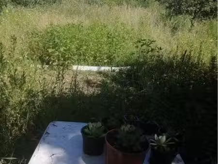 terrain jardin