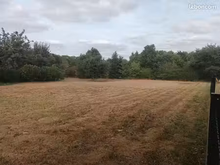 rieumes terrain constructible de 1146m2 80000