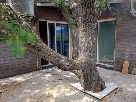 maison individuelle 85 m²