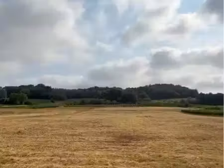 terrain agricole à vendre