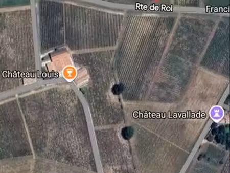 1 hectare de vigne saint christophe des bardes