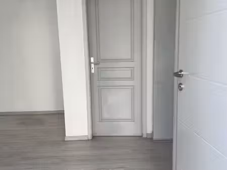 local professionnel