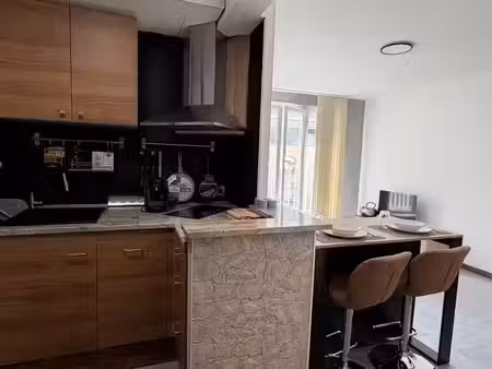 location appartement 1 pièce 24 m² à mazamet (81200)  399 €