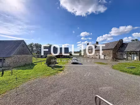 maison en pierre avec plus de 4 hectares de terrain - bacilly