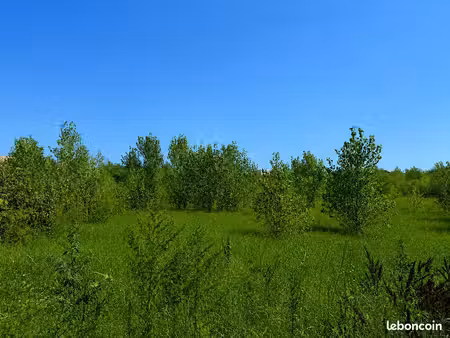 terrain 284 m² la rivière