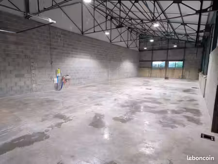 locaux d'activité  250 m²