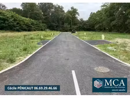 terrain constructible viabilisé à vendre