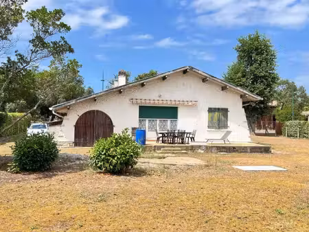 mone rosine immobilier
