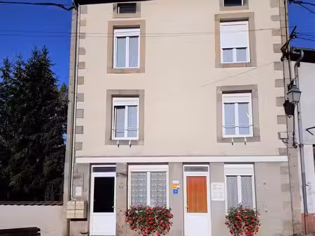 immeuble 220m² pour locations saisonnières la vôge-les-bains