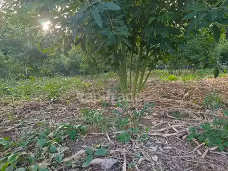 terrain à vendre baillif 805m2 90 000€