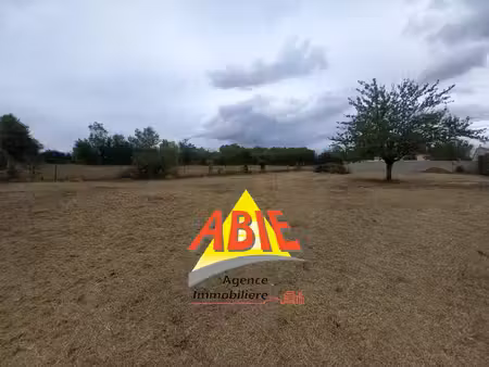 vente terrain 1001 m² sansais (79270)