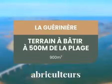 vente terrain à la guérinière (85680) : à vendre / 897m² la guérinière