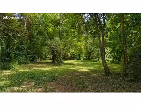 terrain 4 050 m² handschuheim