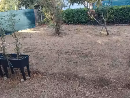 cherche petite maison a louer avec cour  urgent