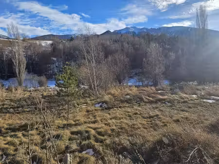 terrain