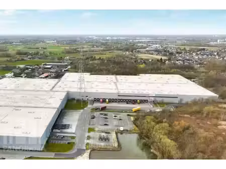 surface industrielle à louer à kersdonk 7 willebroek (rbw71593)