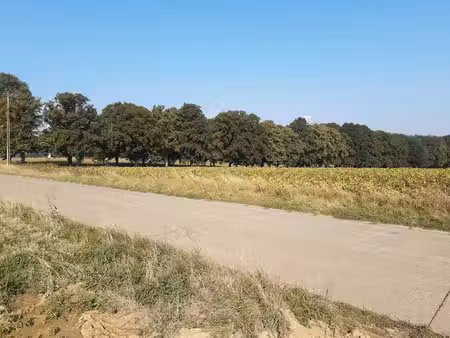 superbe terrain à bâtir de 10 ares plein sud