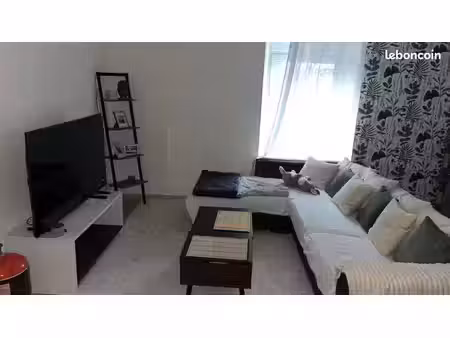 appartement t1bis