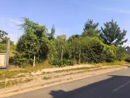 terrain constructible