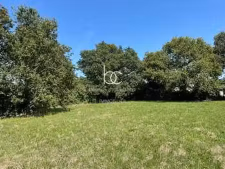 vente terrain à sarzeau campagne-atlantique (56370) : à vendre / 622m² sarzeau campagne-at