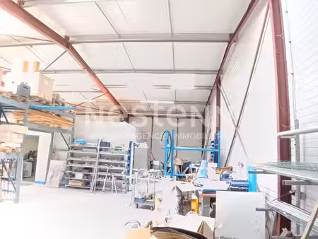 location entrepôt plescop 56890 360m²