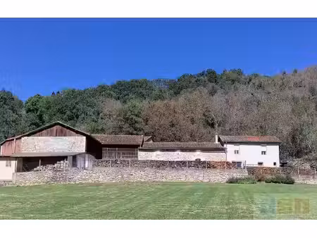 achat maison 7 pièces 140m² bize 65150
