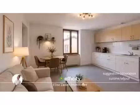 vente appartement 3 pièces 61.7 m² à chazelles-sur-lyon (42140)  109 000 €