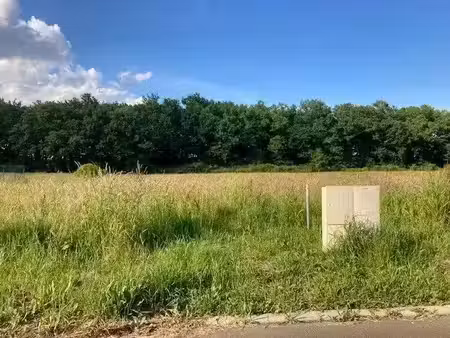 vente terrain 678 m² à cazères-sur-l'adour (40270)  34 578 €