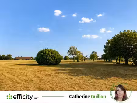 vente terrain 1500 m² à liniers (86800)  23 000 €