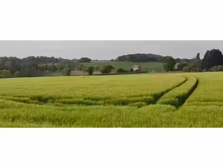 vente terrain 220 m² à pleudihen-sur-rance (22690)  44 000 €