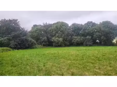 vente terrain 304 m² à taulé (29670)  34 656 €