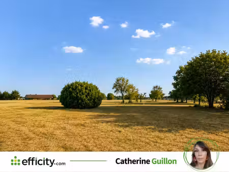 terrain - 1500 m²