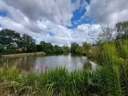 vente maison 5 pièces 132 m² à grury (71760)  330 000 €