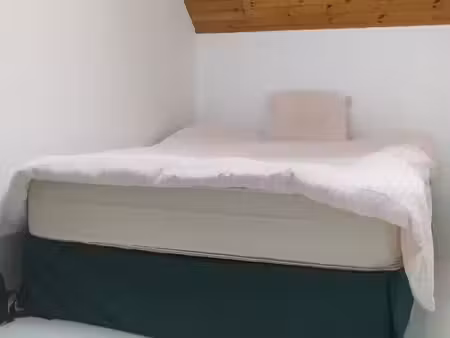 maison en colocation à rue timmermans forest (vbe57446)