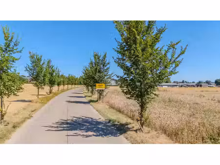 grond te koop in bilzen-hoeselt