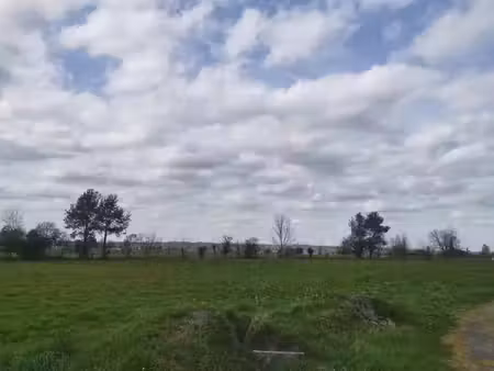vente terrain 995 m² coimères (33210)