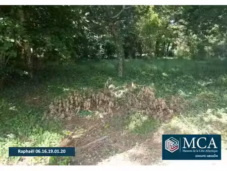 vente terrain 740 m² lugos (33830)