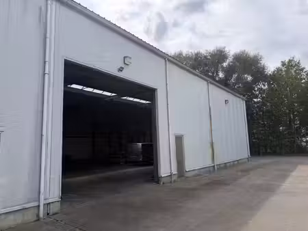 commercieel te huur in bornem