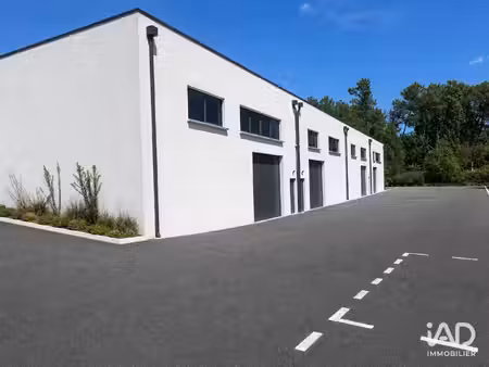 location commerce 250 m² à montussan (33450)