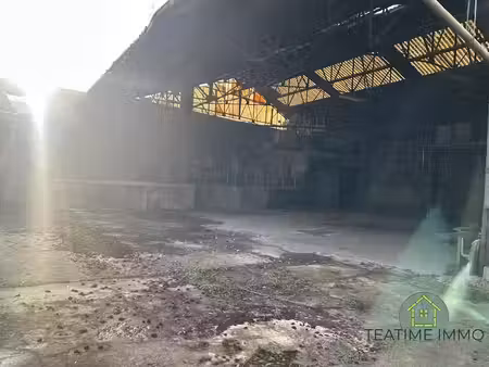 vente locaux professionnels 9 pièces 765 m² à tourcoing (59200)  1 239 000 €
