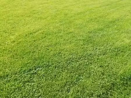 vente terrain à erquy (22430) : à vendre / erquy