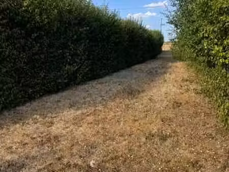 vente terrain à plou (18290) : à vendre / 2367m² plou