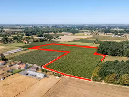 terrain à vendre à stevoort € 70.000 (lr2c9) - lambrecht & hendrikx | zimmo