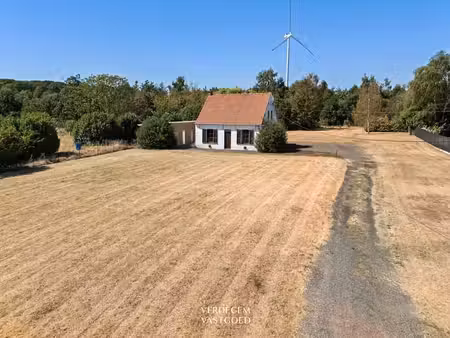 terrain