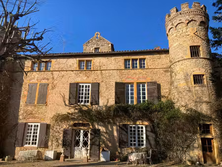 château à vendre à charnay