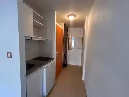 location appartement 1 pièce 20 m² à lyon 7 (69007)