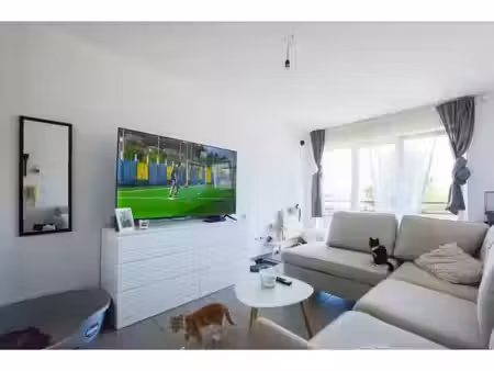 immeuble mixte à vendre à rue de l'yser 20 trazegnies (vbe57230)