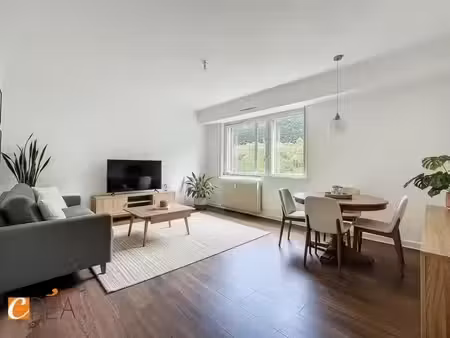 vente appartement 2 pièces 62 m² mulhouse (68100)