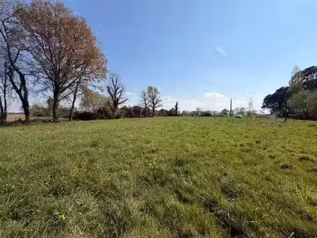 vente terrain 3084 m² à montgaillard (40500)  68 000 €