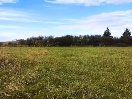 vente terrain 1499 m² à sainte colombe (40700)  28 000 €
